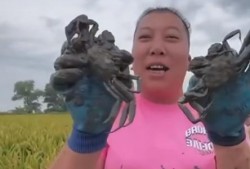 东北雨姐爆料是谁啊视频,视频背后的人物真相