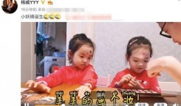 爆料两个孩子的妈妈视频,双胞胎育儿日常温馨感人